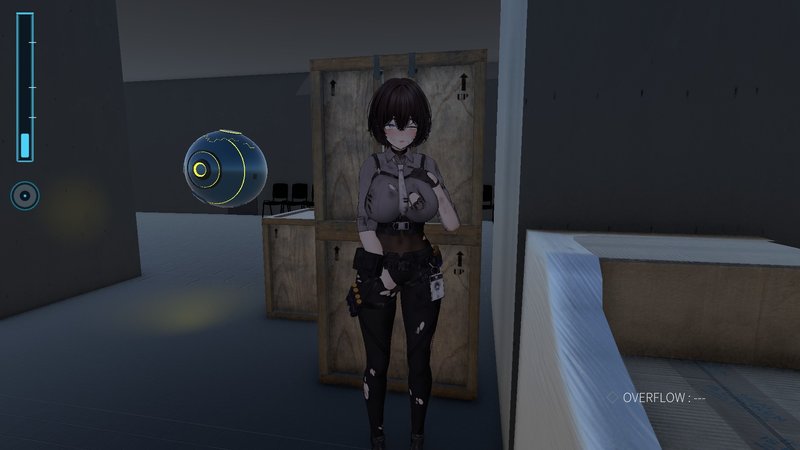 Screenshot 6 from Acme Core Carrier
