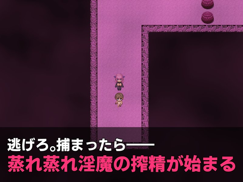 Screenshot 7 from Succubus Escape! Escape from the Lustful Forest