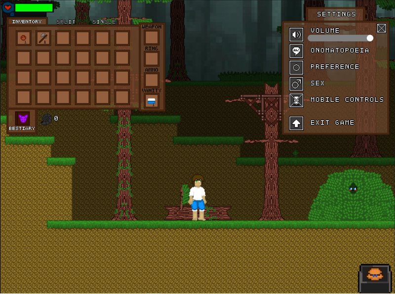 Скриншот 2 из игры «Проклятие Фантома»