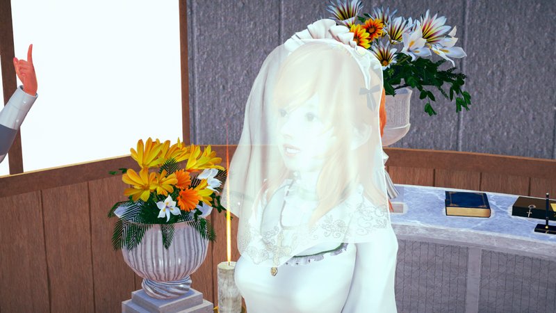 Screenshot 1 from Help! I Accidentally Married a Lesbian