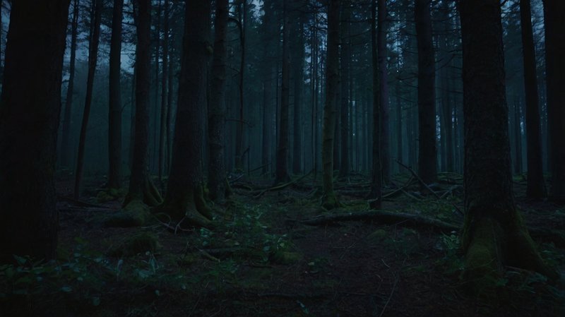 Screenshot 1 from The Mercenary