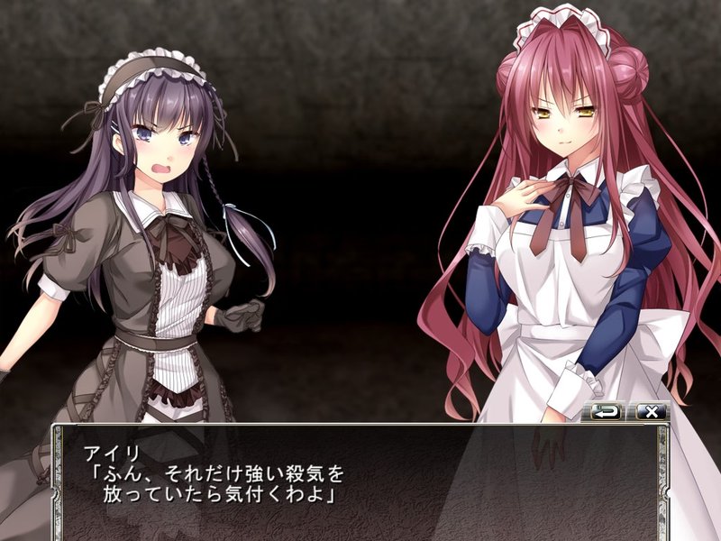Screenshot 2 from Dungeons and Heroines: The Mystery Labyrinth and the Girl from Another World