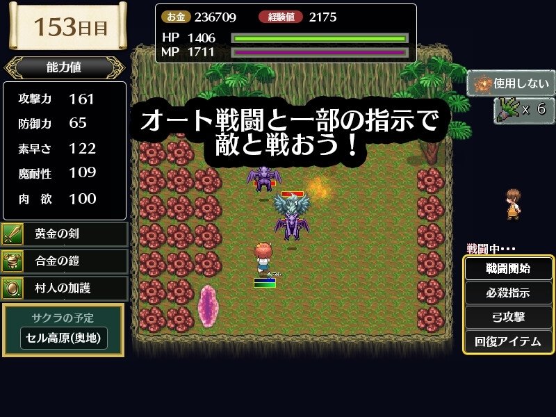 Screenshot 2 from The Misty Ruins and The Lone Swordsman