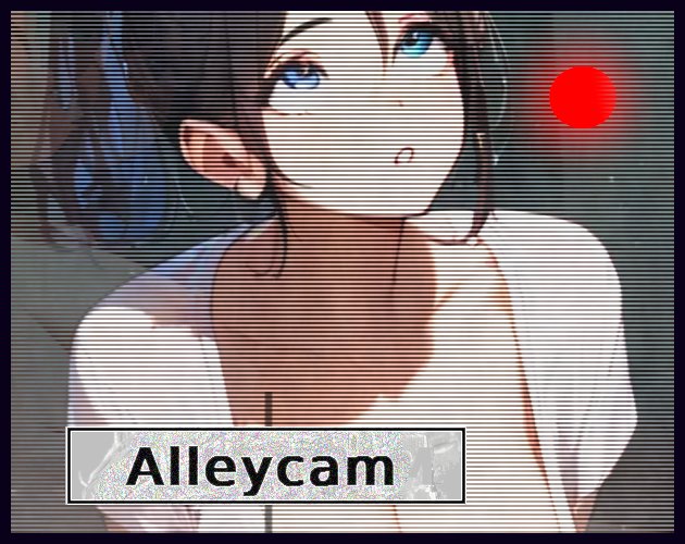 Alleycam