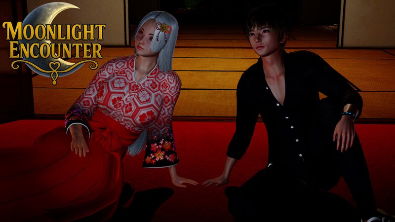 Moonlight Encounter