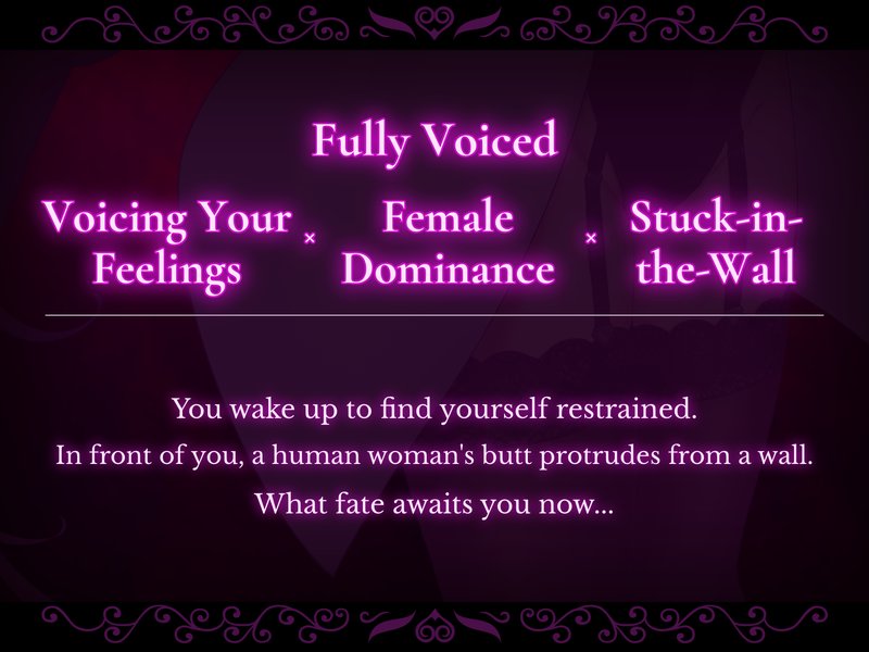Screenshot 2 from Stuck in the Wall Lab Demo