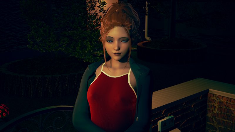 Screenshot 9 from Welcome to North Brooke