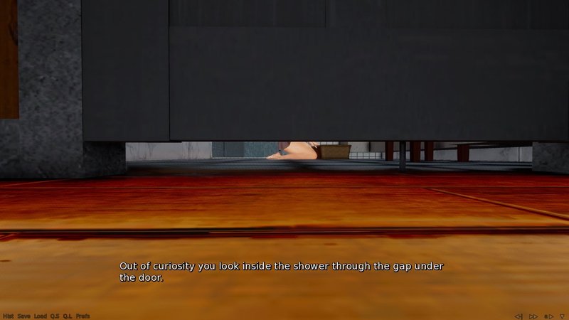 Screenshot 10 from Unknown Desire