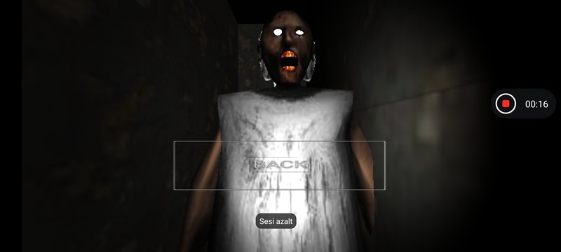 Screenshot 1 from Granny 1.0 Flashlight