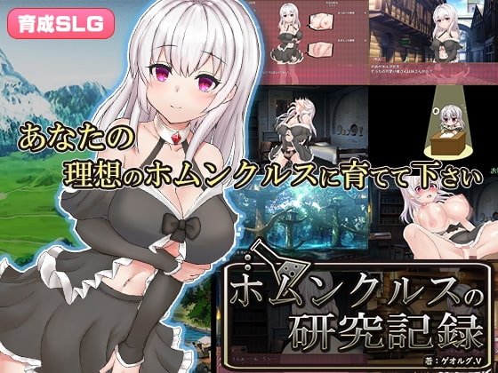 Homunculus Research Record