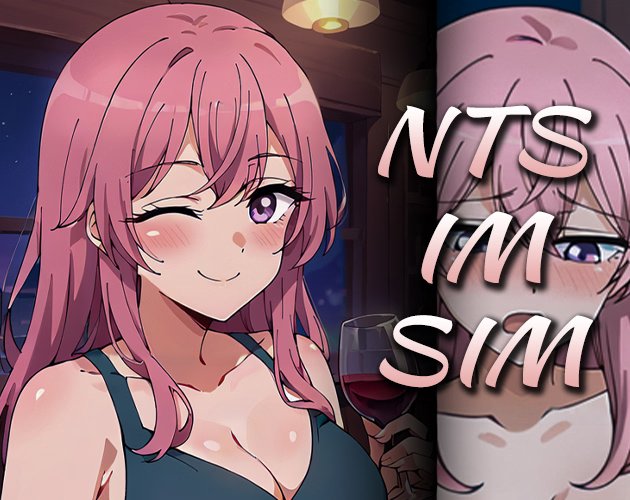 NTS-IM-SIM